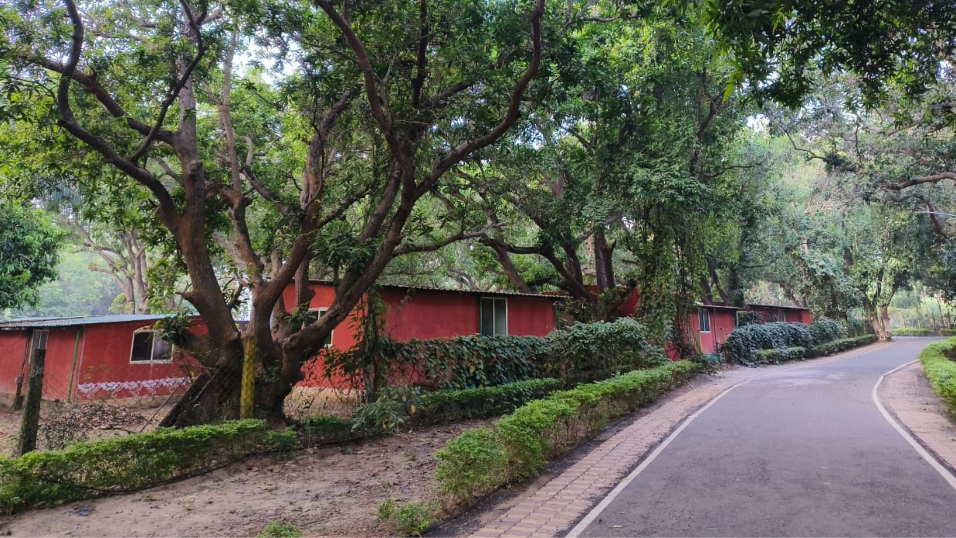 The JCKTPIC campus at Paralakhemundi, Odisha
